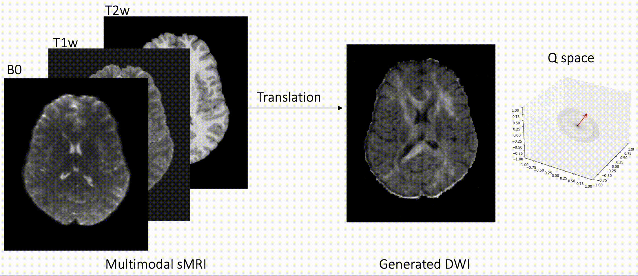Q-space Conditioned Translation Networks for Directional Synthesis of Diffusion Weighted Images from Multi-modal Structural MRI